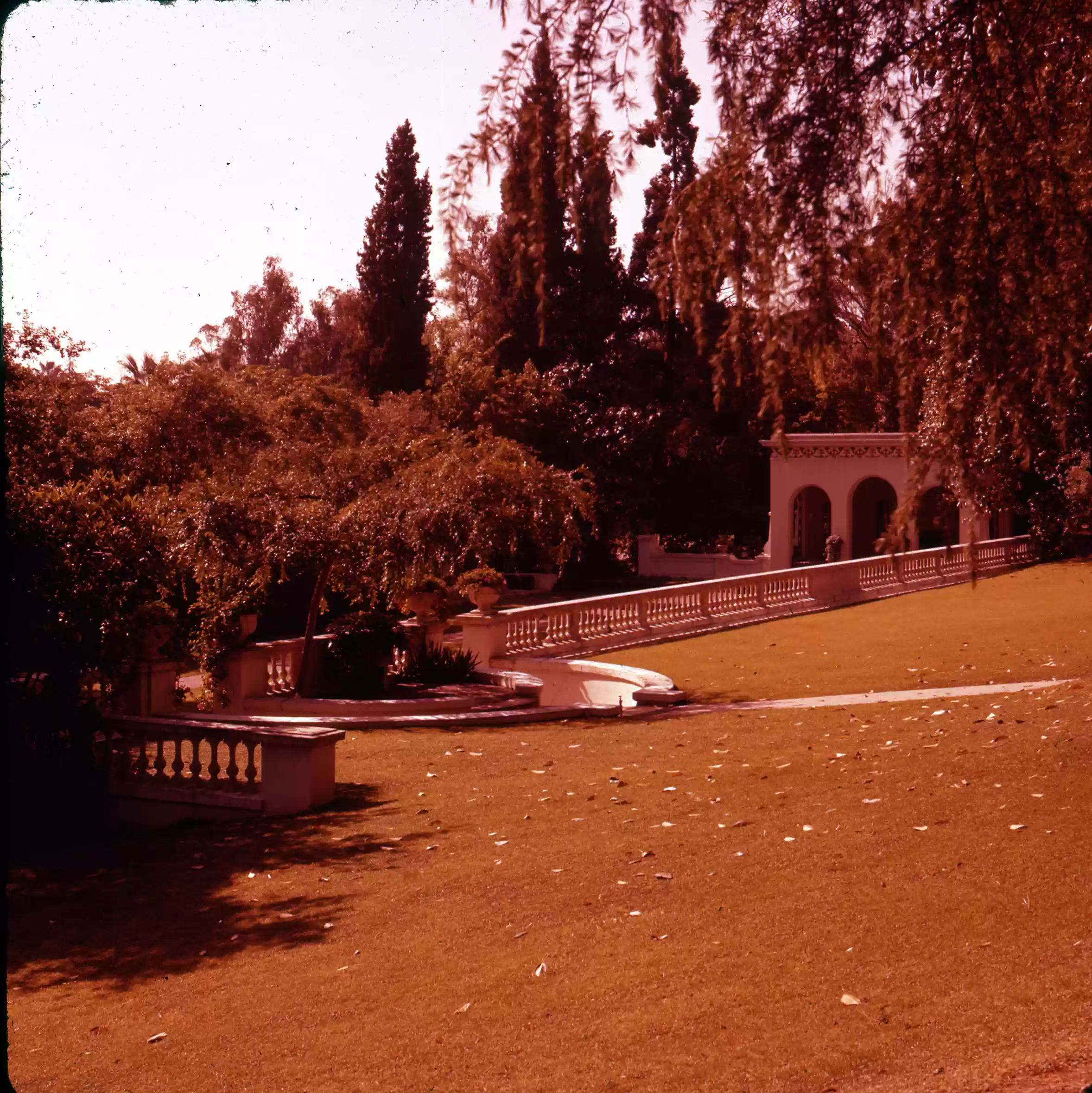 looking over the lower Gardens Pasadena Campus_0021
